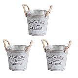 Jarrón Rústico Decorativo,Canzoon 3Pcs Jarrón Vintage De Metal Planchar Estilo De Casa De Campo Jarrón Rústico para San Valentín Balcón Salón Decoración De Mesa Jarrón Rústico Barro