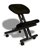 cinius Silla ergonómica Profesional Color Negro sin Respaldo