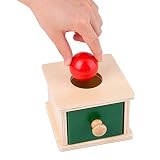 TOYANDONA 1 Pieza Montessori Caja de Monedas Juguetes Montessori Objeto Caja de Permanencia Juguetes Educativos de Madera para Niños ( Estilo de Cajas de Bolas Redondas )