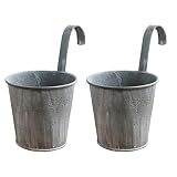 UPKOCH 2 unidades de macetas de hierro vintage para colgar en la valla, jarrón rústico, para plantas, jardín, terraza, bonsái o percha