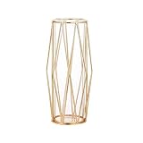 Fhdpeebu Jarrón decorativo para habitaciones, jarrón de cristal con estante de metal SttNder, jarrones para boda, hogar, oficina, color dorado (11 pulgadas)