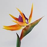 Oce180anYLVUK Flor Artificial Ave del Paraíso Planta Falsa Seda Strelitzia Reginae Decoración del Hogar Flores Artificiales para Decoración Naranja
