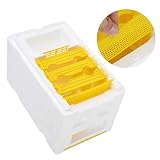 Caja de Cola de Abeja, Mini Caja Anti-Escape fácil de Usar Caja de cría de Abejas, Herramientas de Apicultor Grupo de Apicultura Grupo de Abejas para Mascotas para Apis Mellifera Abeja