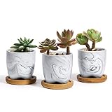 T4U Planta Maceta de Suculento con Bandeja de 6CM Cerámico Mini Tamaño Paquete de 3, Cactus Maceteros de Ventana Cajas Decoración para Mesa de Comedor Regalo para Cumpleaños Boda Navidad