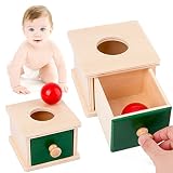 AGRYMER Caja De Monedas Montessori De Madera, Hucha Redonda Caja De Monedas De Bola Rectangular para Niños Juguetes Educativos Montessori para Niños Pequeños Niños Niños