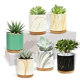 EKKONG Maceta Cactus, 6.1cm Macetas Decorativas Conjunto de 6 Tiestos Decorativos Pequeños Interior Maceta Ceramica Mini con Bandeja Bambú para Suculentas Cactus Decoración de Hogar, Oficina y Jardín