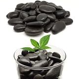 Genérico Piedras Negras Decorativas | 5 Kg De Piedra Pulida para Jardín, Macetas, Plantas, Jardineras, Acuario, Peceras Y Cactus | Ideal para Decoración del Interior Y Exterior del Hogar Y Chimeneas