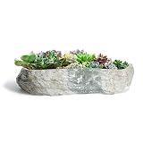 T4U Maceta de cerámica para Plantas suculentas, Maceta de Plantas suculentas con Forma de Piedra, Maceta de Cactus marmoleado Ideal para Plantas de jardín e Interior, Decoración de balcón de jardín