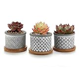 T4U 6CM Macetas para Cactus de Cemento con Plato de Paquete de 3, Mini Maceteros Pequeños para Suculento Plantas Casa y Jardin Boda Decorativos Interior