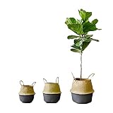 Seagrass Basket, 3Pcs / Set cesta de tejido de paja natural con mango tejido a mano cesta de lavandería juguetes cubo de almacenamiento de flores colgante macetero negro y naturaleza