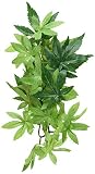 Hagen Exo?Planta?de?Seda?abuliton?peq. XXX