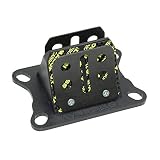CAJA DE LAMINAS MOTO 50 MALOSSI PARA AM6-DERBI SENDA-GPR (VL6 CARBONO SOPORTE POLIMERO)