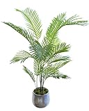Palmera Artificial, Ideal para Decoración del Hogar u Oficina, Planta, Árbol Artificial (150 cm)