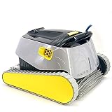 DOLPHIN Robot Limpiafondos de Piscina Automático - Cubre hasta 12 m - Limpia Fondo, Paredes y Línea de Agua - Diseño Compacto y Ligero - Accesorios Piscina - Garantía de 2 Años Maytronics Avalon 30