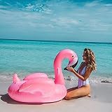 Lady of Luck Inflable Gigante De Flamencos, Flotador para Piscina Los Adulto Pueden Jugar En La Playa con Pileta Disfrute Agradables Vacaciones