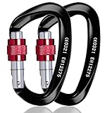 Mallez Mosquetónes de Escalada, 2Pcs Mosquetón en Forma de D de 25 KN Resistente con Puerta de Tornillo para Escalada en Roca, Rapelling, Bloqueo de Perros, Tamaño Grande