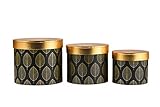 Juego de 3 cajas de flores con tapa, cajas decorativas en oro, negro o dorado blanco con hojas, plumas o escamas de pescado, elegantes cajas de almacenamiento y cajas de regalo (con hojas negras).