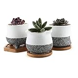 Rachel's Choice Estilo Coreano Cerámico Ollas Suculentas Plantador de Cactus de Flores con Bandeja de Paquete de 3