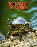 Tortuga de estanque: Libro para niños con imágenes hermosas y datos interesantes sobre los Tortuga de estanque