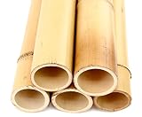 Moso Cañas de bambú (200 cm, 10 a 12 cm de diámetro), color amarillo, 1 unidad