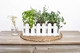Uncle Ralph Kit de Cultivo Hierbas aromáticas con Jardinera de Madera. Macetero Tipo Valla jardín para Plantas y Flores. Growing Kit Siembra (Blanco)