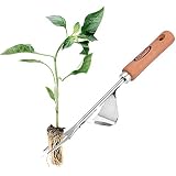 ECENCE Extractor de maleza de Acero Inoxidable, escardador con Mango de Madera, arrancador de Hierbas Manual para escardar y arrancar, Regalo para jardineros y jardineras