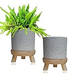 Macetero Decorativo Interior, Moderna Maceta Macetero Redondo de Cerámica con Soporte de Madera para Interior y Exterior (Gris)