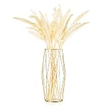 Florero De Vidrio Con Estante De Metal Geométrico, Maceta De Terrarios Cristalinos, Floreros De Vidrio De Brote Para Flores, Planta Hidropónica, Centro De Mesa Para Bodas En El Hogar, Oro, 27 Cm De Al