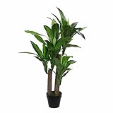 MICA Decorations 1026439 Dracaena en Maceta Verde – H110 X d60 cm Planta Artificial, Goma, Verde, 60 x 60 x 110 cm