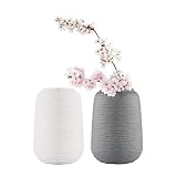 ComSaf Jarrón únicos de Cerámica Pancromático Paquete de 2, Flores Plantas Florero Moderno de Porcelana Decoración para Mesa de Comedor Sala de Estar Idea Regalo para Cumpleaños Boda Navidad