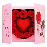 Siebwin Rosa Eterna Regalos para Mujer, Caja de Regalo de Collar de Te Amo, Regalo de Cumpleaños Perfecto, Regalo Romántico para el Día de San Valentín, Cumpleaños, Día de la Madre, Aniversario