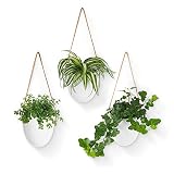 Gadgy Macetas Colgantes | Set di 3 Macetas para Colgar | Macetero Colgante | Maceteros Colgantes | Adornos para Cocina | Plantas Colgantes Interior | Decoracion terraza |Macetero Pared