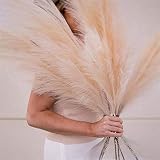 5 Piezas de Hierba de Pampa Artificial 39 en 100 cm Ramo de Bricolaje florero año Nuevo Vacaciones Boda Fiesta decoración del hogar Planta simulación Flor caña (Beige)