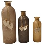 khevga Juego de 3 jarrones decorativos de cristal con corazón – Cristal satinado