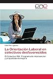 La Orientación Laboral en colectivos desfavorecidos: El Colectivo RAI: Programa de intervención y propuestas de mejora