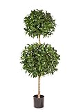 artplants.de Set 2 x Laurel con Dos Copas Artificial QUIRIN, 2 Coronas esféricas, Verde, 125cm - 2 Unidades de árbol Decorativo - Planta de imitación