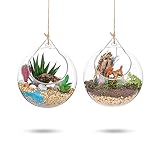 Glasseam Plantas Colgantes de Aire 2 Piezas Portavelas de 4 Inches Cristal Terrario Portavelas Contenedores de Plantas de Vidrio  para el Diseño de Bricolaje de Jardín de Bodas en Casa