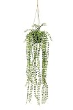 artplants.de Juego de 5 x Cesta Colgante con ficus pumilla Falso PANJA, Verde, 60 cm, Ø 30 cm - Ficus trepador sintético - Planta para Colgar Falsa