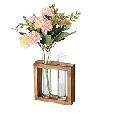 LWZko Jarrón Hidropónico de Madera, Tubo de Ensayo Hidropónico, Jarrón para Tubo Ensayo, Estante Madera Terrario fe Mesa para Propagación Plantas Hidropónicas, Decoración del Hogar Oficina
