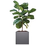 KHOMO GEAR Moderna Maceta metálica galvanizada para Interior y Exterior con Drenaje (40,6 x 40,6 x 40,6 cm, Gris)