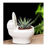 BigNoseDeer Macetas divertidas de cerámica en forma de inodoro con forma de suculenta florero, maceta de cerámica bonsái, macetas para decoración del hogar, mini adorno de escritorio