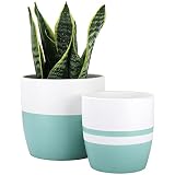 LA JOLIE MUSE Juego de Macetero Redondo de Cerámica para Interior - Maceta Minimalista Moderna con Acabado Mate, Agujero de Drenaje Incluido, Regalo de Decoración, Blanco y Verde Agua, 6.1'+5.1'