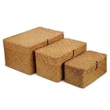 DOKOT Cesto de Almacenaje con Tapa Seagrass Cestas Mimbre Decoración Rectangular Tejido de Ratán Caja con Tapa 3 Piezas (Grande + Mediano + Pequeño)