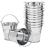LATERN 12 Piezas Metalico Mini Macetas Colgantes, 6CM Macetas Cubo de Flores Colgantes con Mango Desmontable para Balcón Valla Jardín Decoración Del Hogar (Plata)