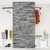 Apalis Panel japones Arizona Stonewall 250x120cm | Paneles japoneses separadores de ambientes Cortina Paneles japoneses Cortina Cortinas | Tamaño: 250 x 120cm Incl. Soporte Transparente