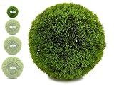 TIENDA EURASIA Bola Artificial de Decoracion - Seto Artificial Decorativo - Ideales para Interiores y Exteriores (Verde, 16 cm)