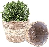 Cesta de Planta, Juego de 2 Maceta Tejida, Cestas de Plantas Flores Cesta Mimbre, Macetas de Flores Cesta de Almacenamiento, para Decoración de Jardín Interiores y Exteriores