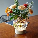 MJ PREMIER Jarrón de cristal iluminado con LED y temporizador, funciona con pilas, jarrón de cristal transparente, jarrón decorativo para cocina, mesa, hogar, oficina, boda, regalo del Día de la Madre
