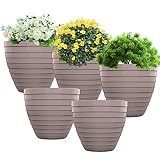 Macetas Decorativas Pequeñas. Macetas Pequeñas para Cactus 15cm (5 uds) Macetero Pequeño de Interior de diseño Macetero Exterior Terraza Moderno para Jardineria