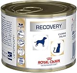 Royal Vet Canine Recovery Caja 12X195Gr 2340 g